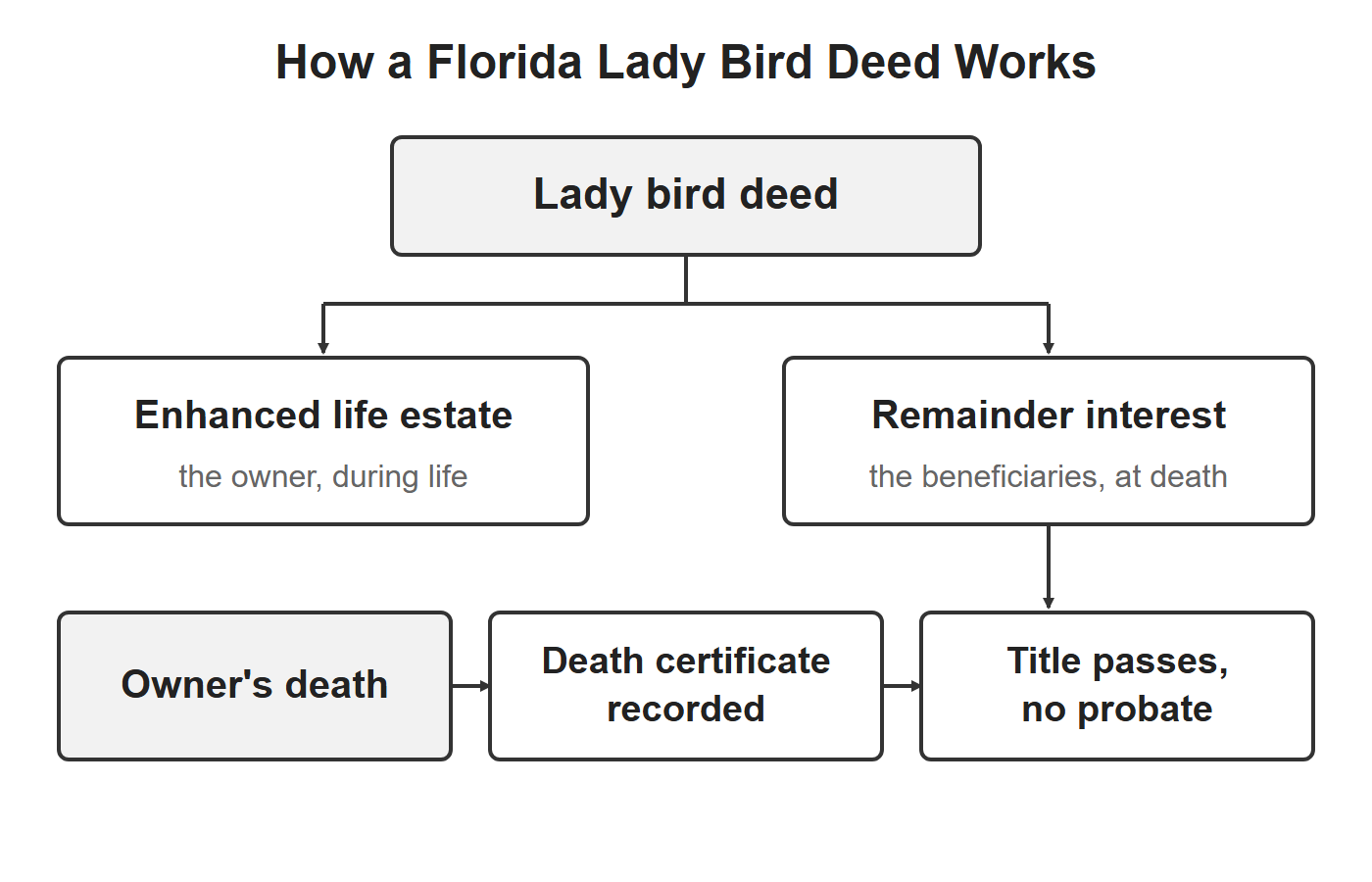 Florida lady bird deed diagram: the owner's enhanced life estate, the beneficiaries' remainder interest, and title passing without probate at the owner's death